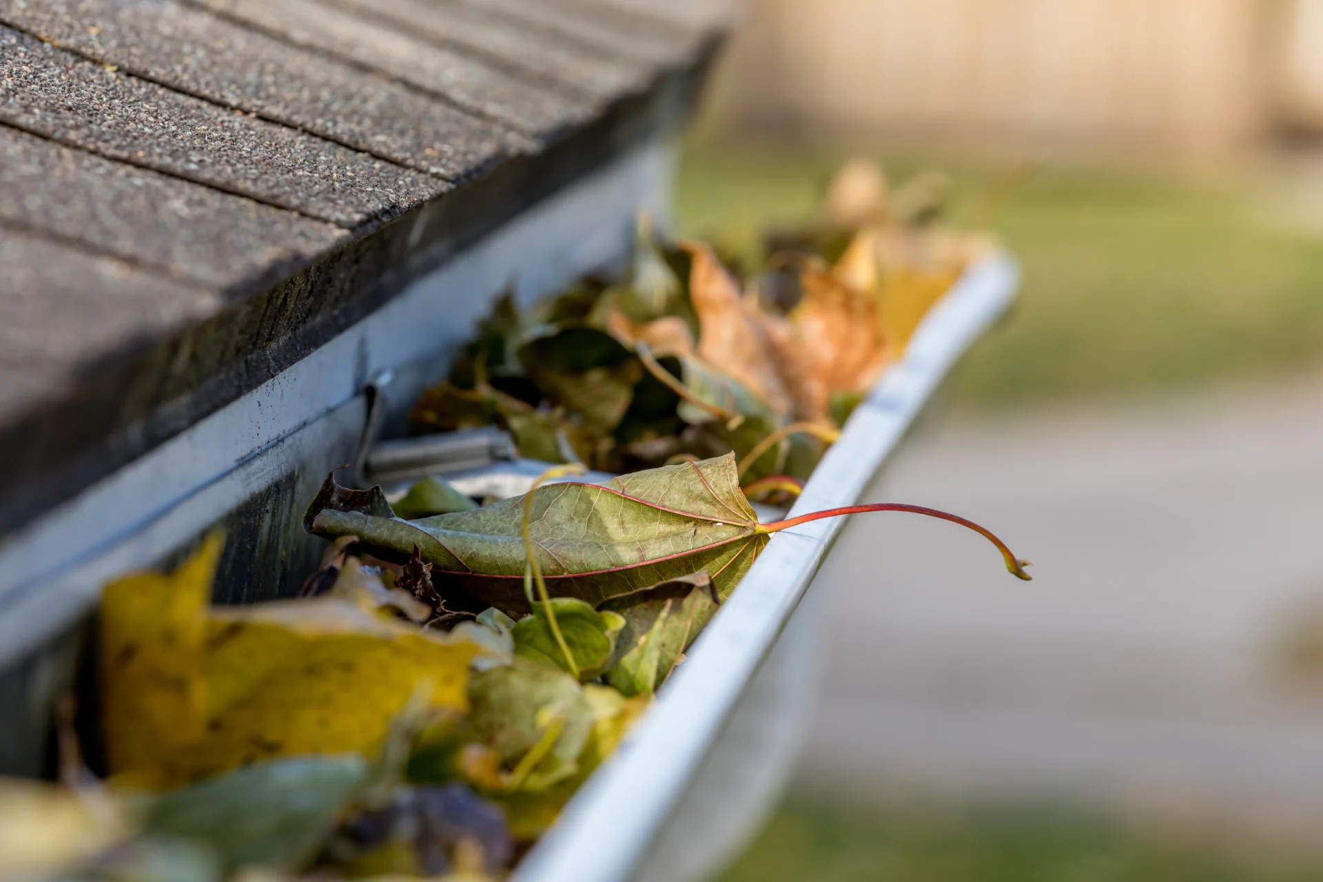 Roof Maintenance Ogden UTAH