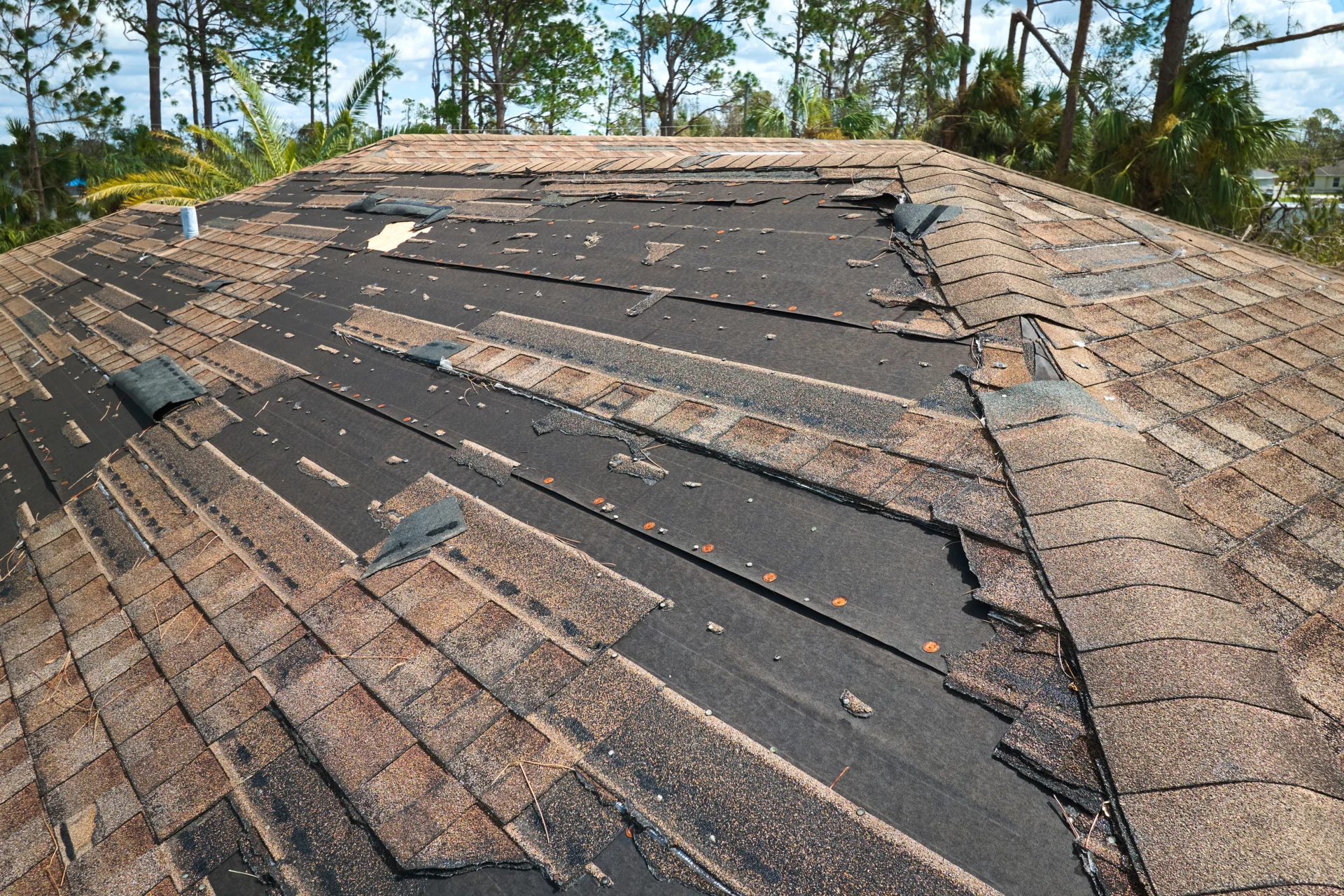 Roof Wind Damage Repair Ogden UT Roof Wind Damage Repair Ogden UT